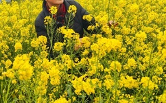 日韩天码砖区2022